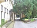 Tn 0526 DSC 5845